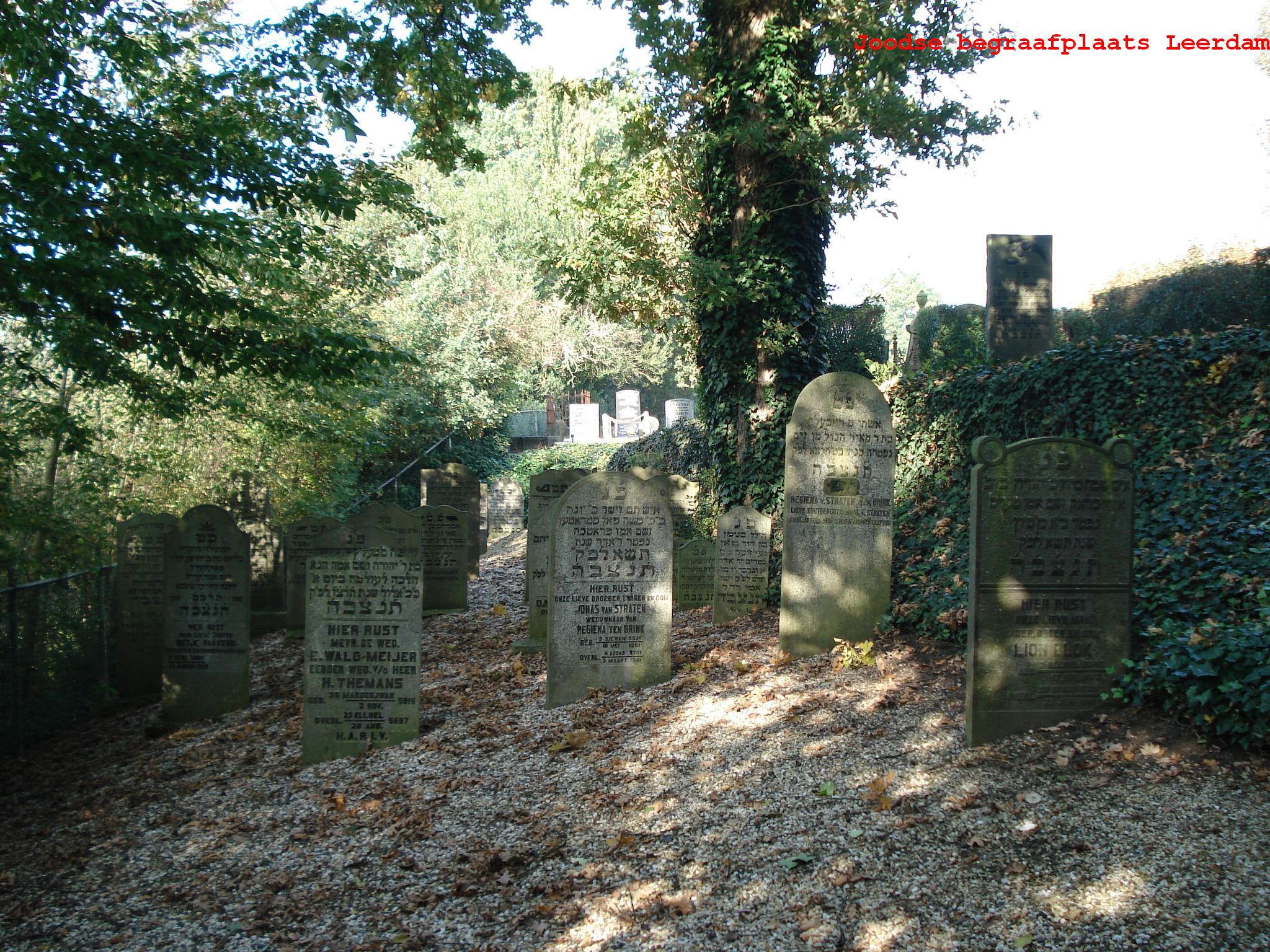 Cemetery, Leerdam